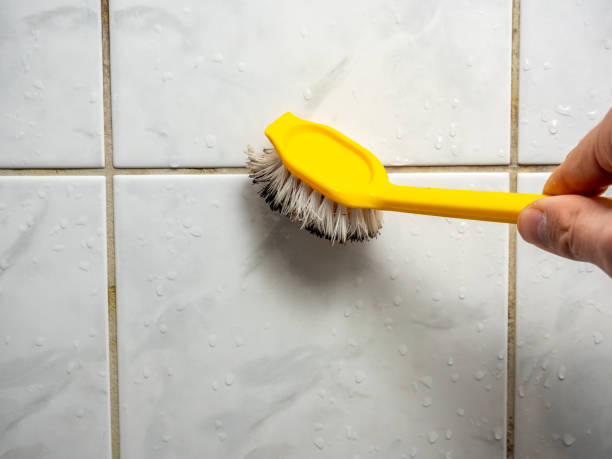 Professional Mold Removal in Lumber City, GA