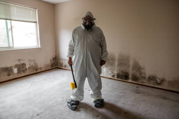 Best Crawl Space Mold Removal  in Lumber City, GA