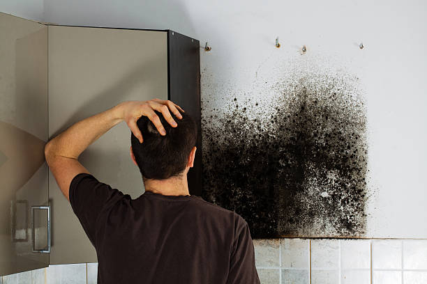 Best Mold Cleaning Services  in Lumber City, GA